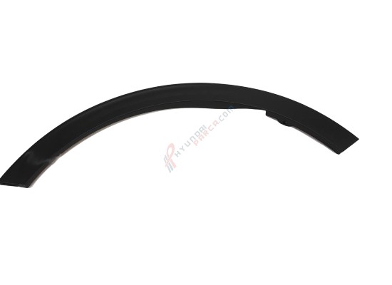 ÇAMURLUK DODİĞİ ÖN 87711-D9000-HMC